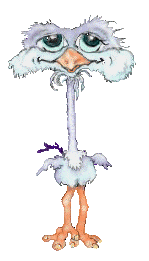 fula_ankungen.gif (152611 bytes)